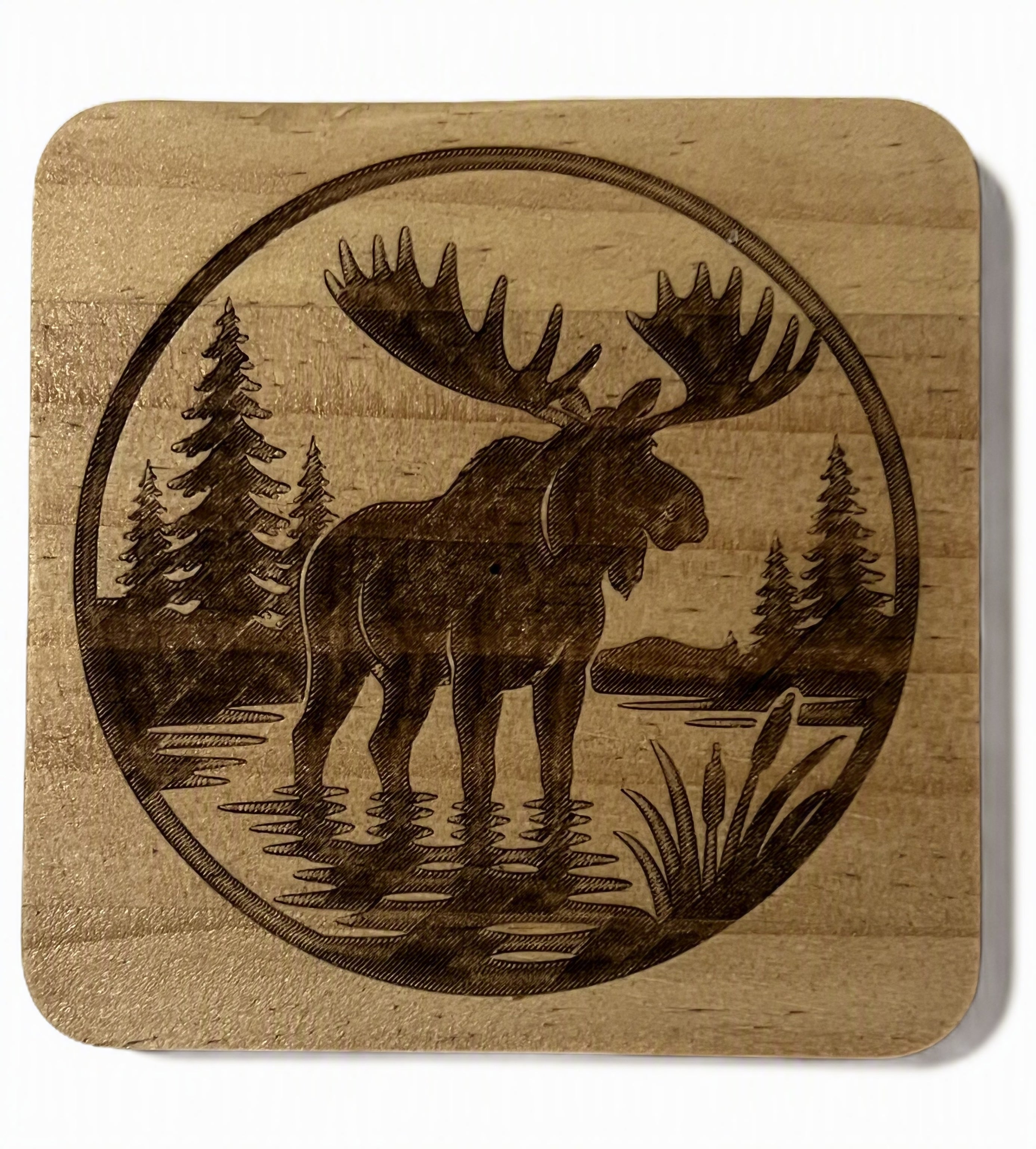 A square wooden coaster with rounded corners, featuring a laser-engraved circular design of a moose standing in water among pine trees.