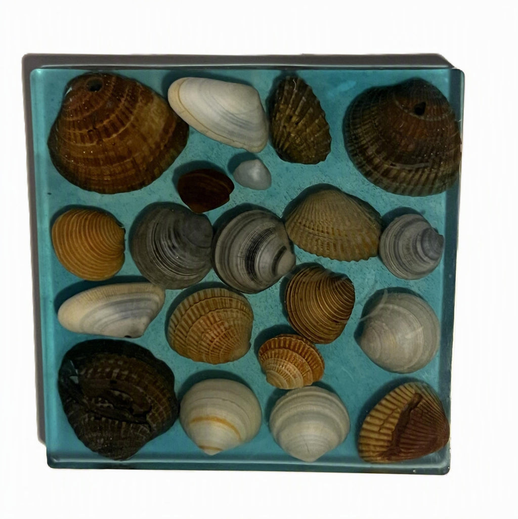 A collection of various seashells arranged and set in a turquoise-colored resin.